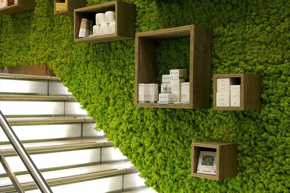Moss Green / мох стабилизированный