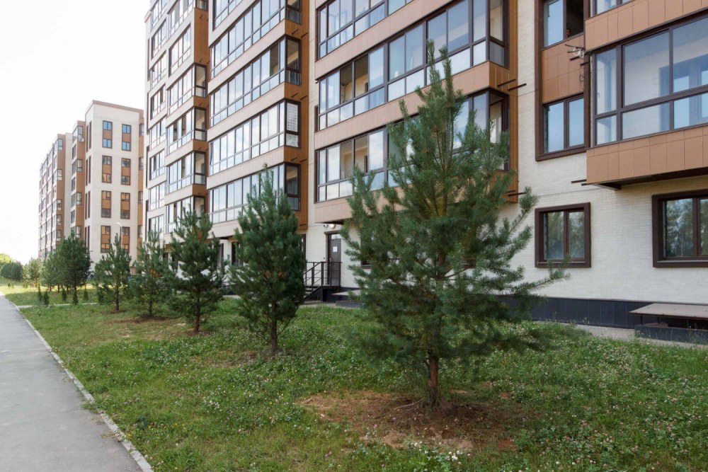 ЖК В деревне Пирогово