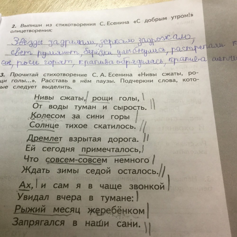 Паузы в стихотворении
