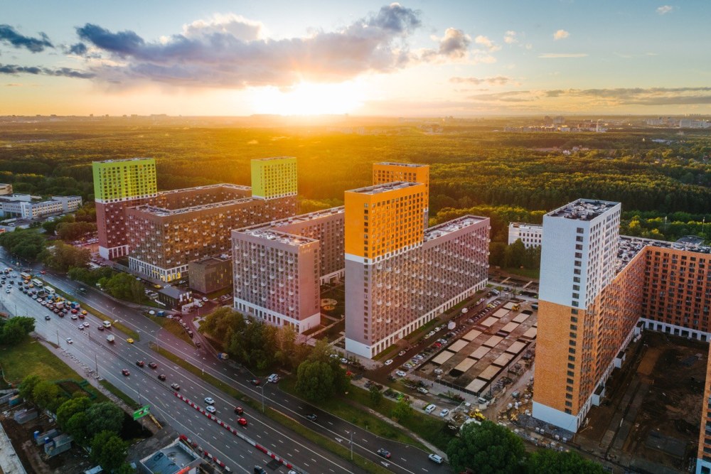 Мещерский лес пик Москва