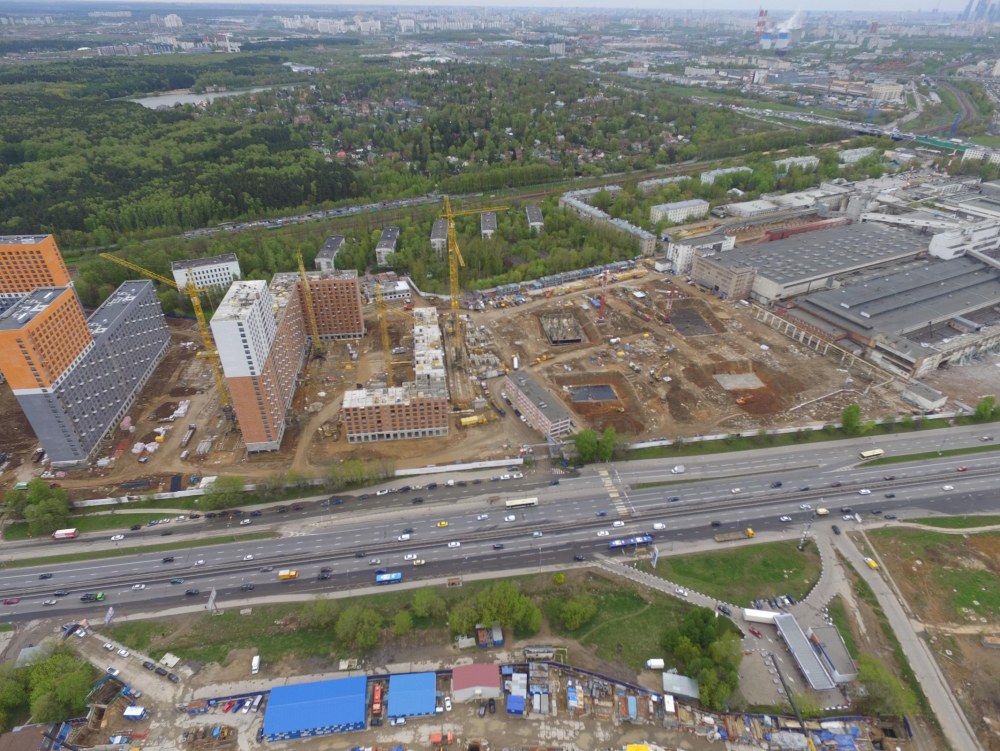 Мещерский лес Москва