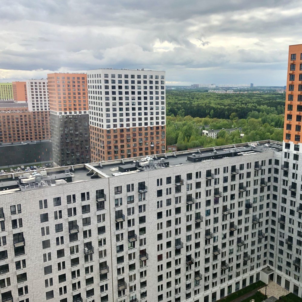 Говорово пик Мещерский лес