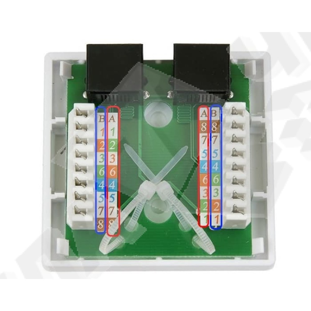 Сетевая розетка RJ-45 двойная