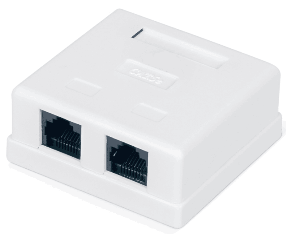 Розетка внешняя RJ-45 (UTP) 5e кат. Двойная