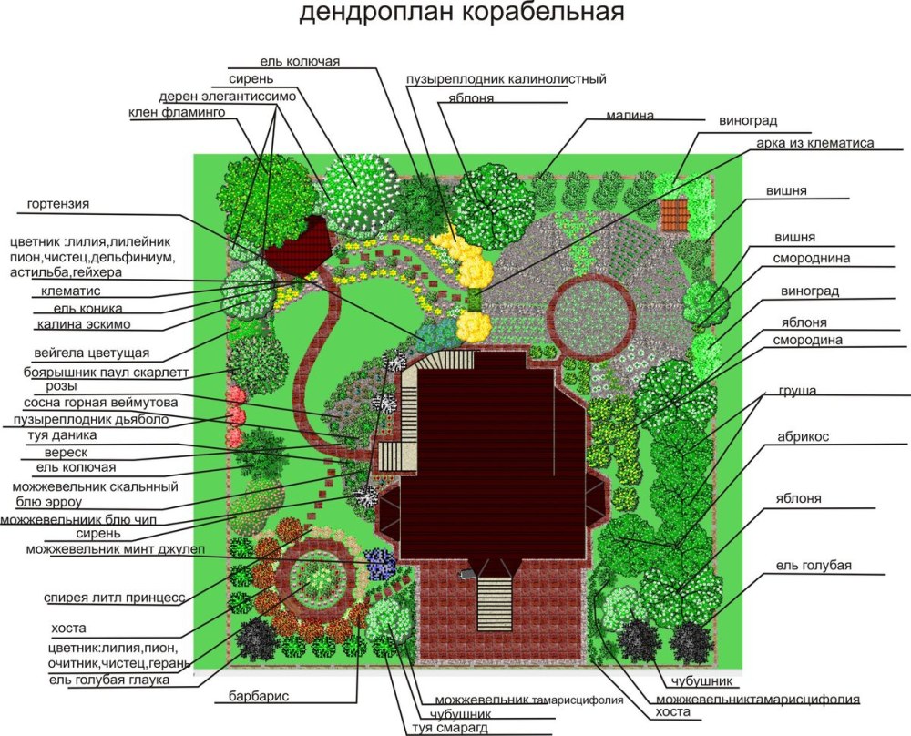 Дендрологический план в ландшафтном дизайне