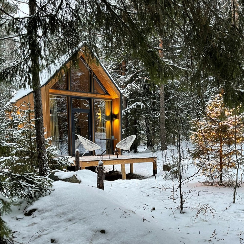Pine Forest Истра глэмпинг