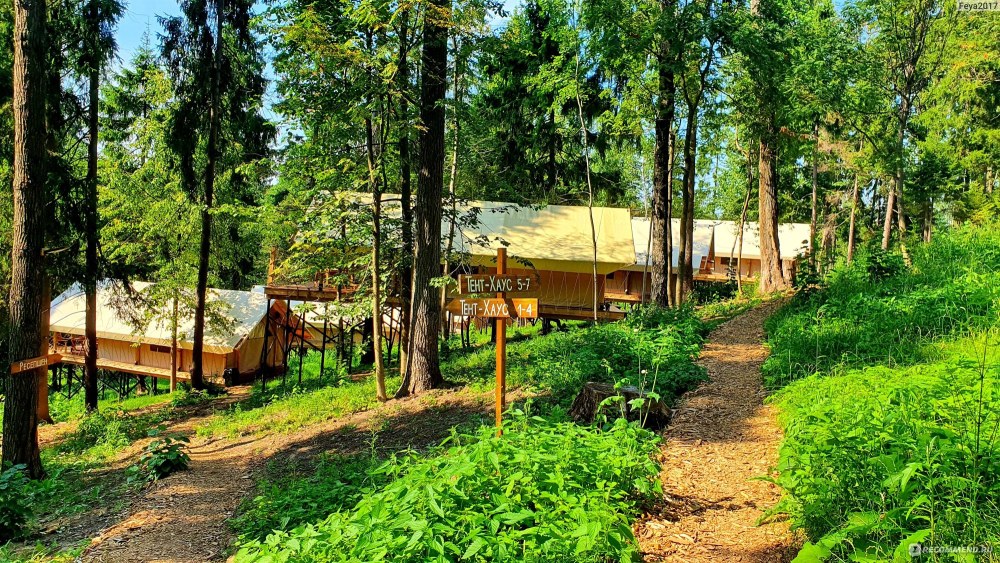 Лес рядом глэмпинг Красногорск