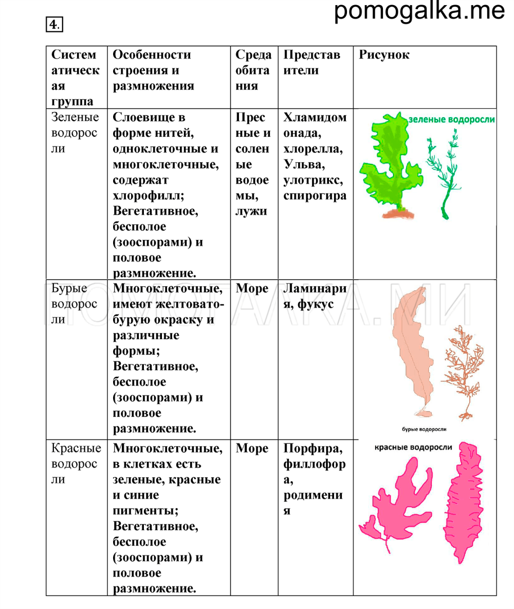 Зелёные водоросли таблица