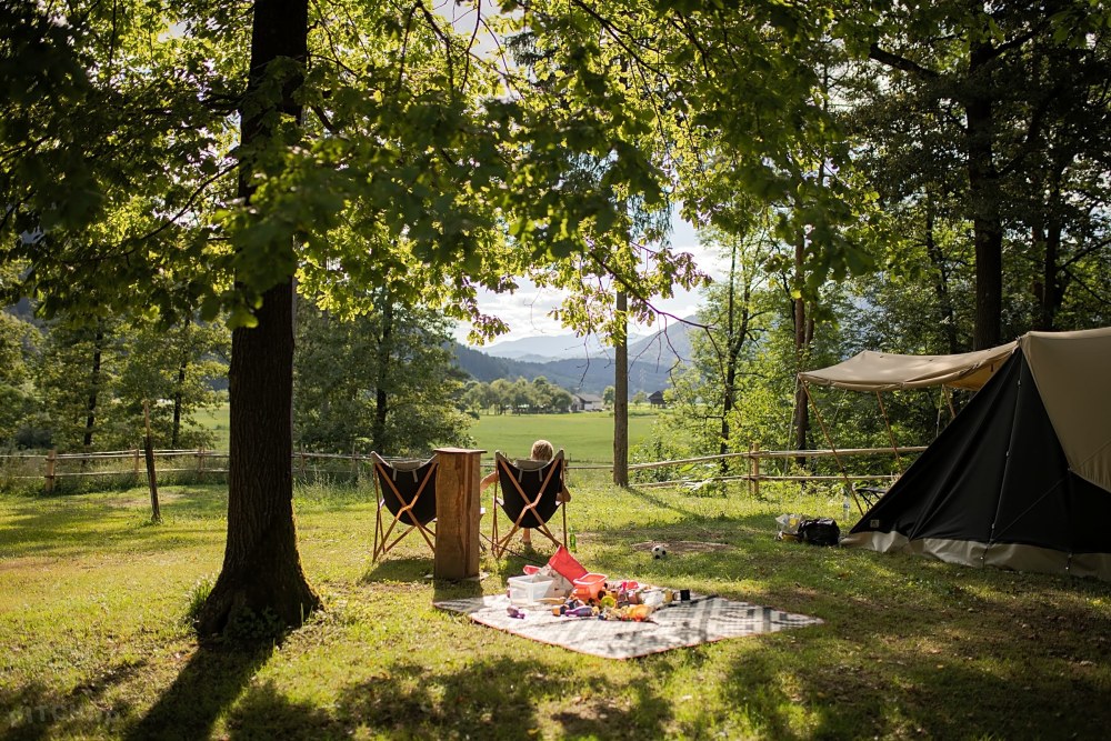 Forest Camp 7 33 Reddit