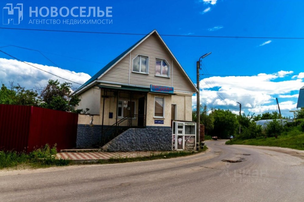 Борки Рязань сверху