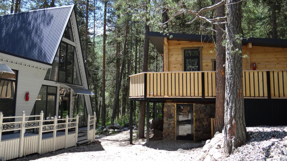 Lodgepole