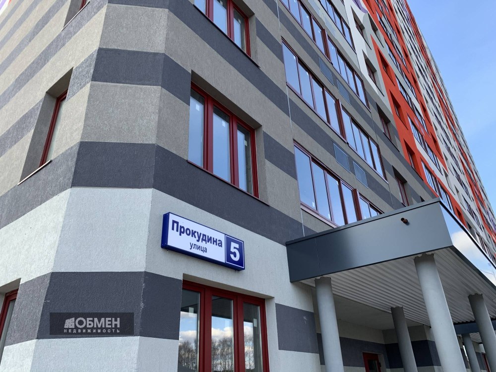 Улица Прокудина Ивантеевка