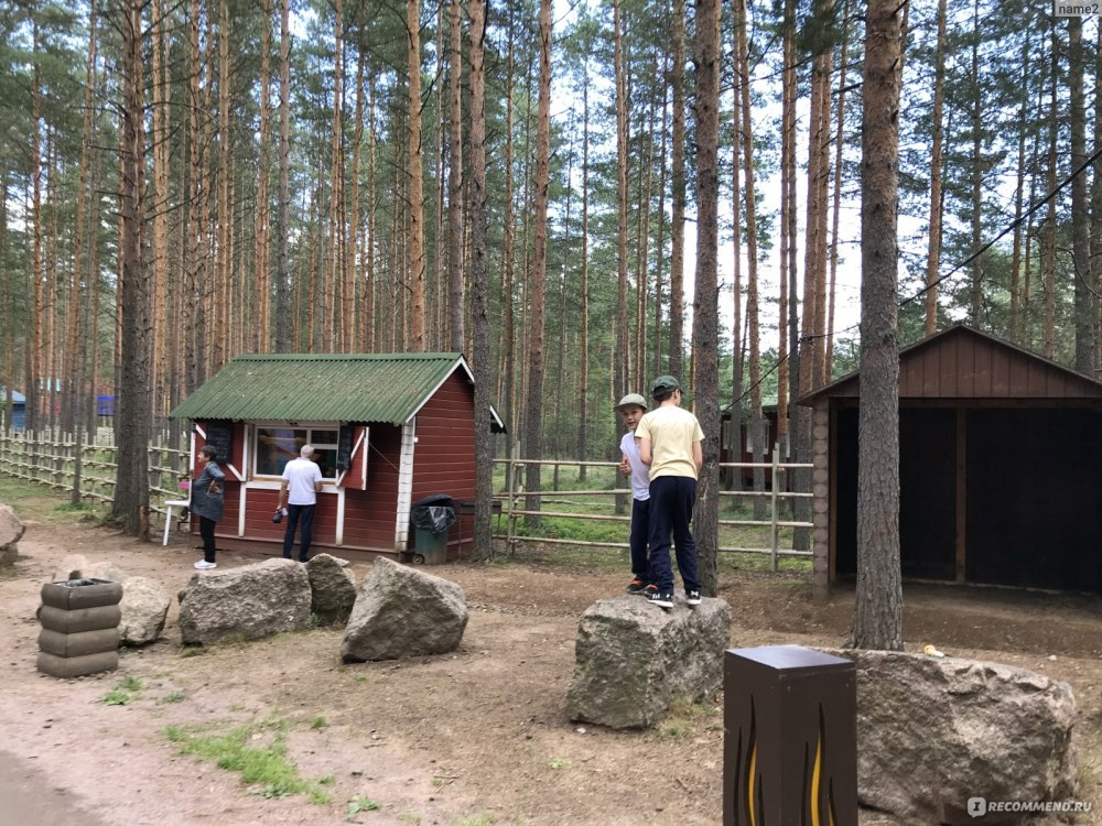 Лампушки база отдыха зоопарк