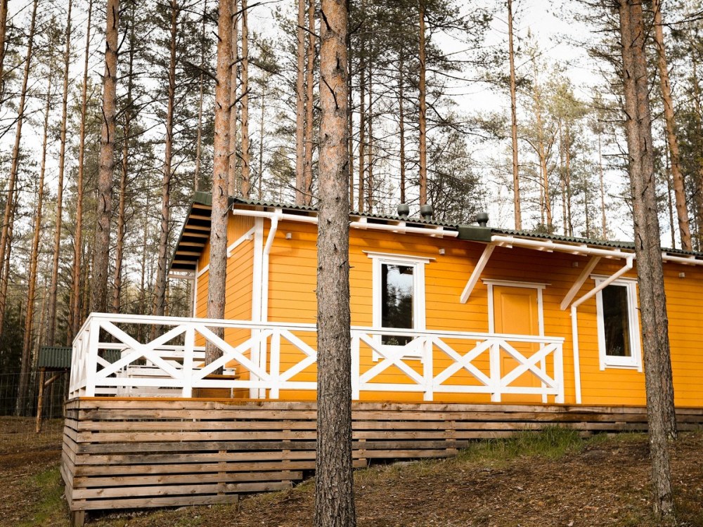 Шишки на Лампушке дом Лапландия