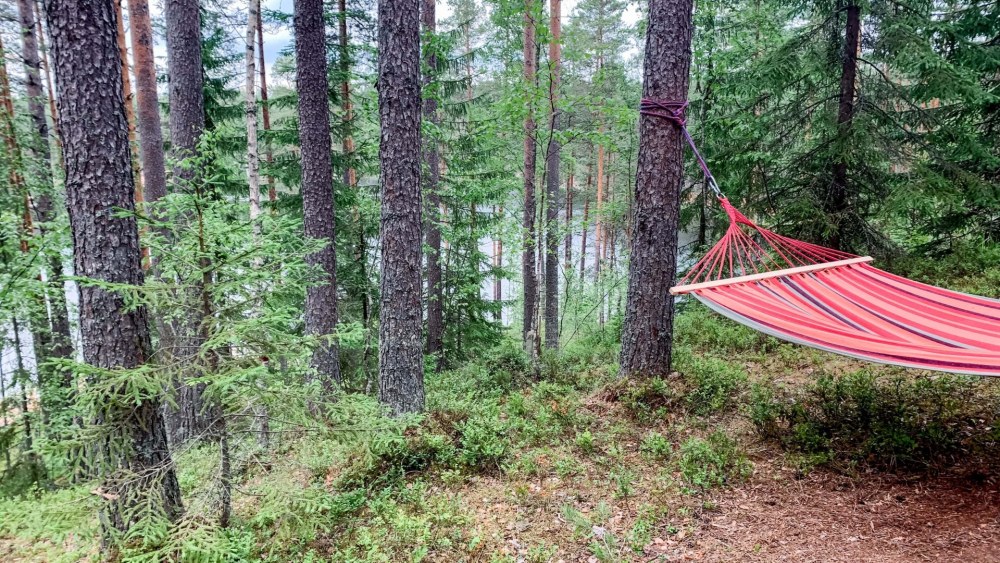 Гамак на даче на Столбах