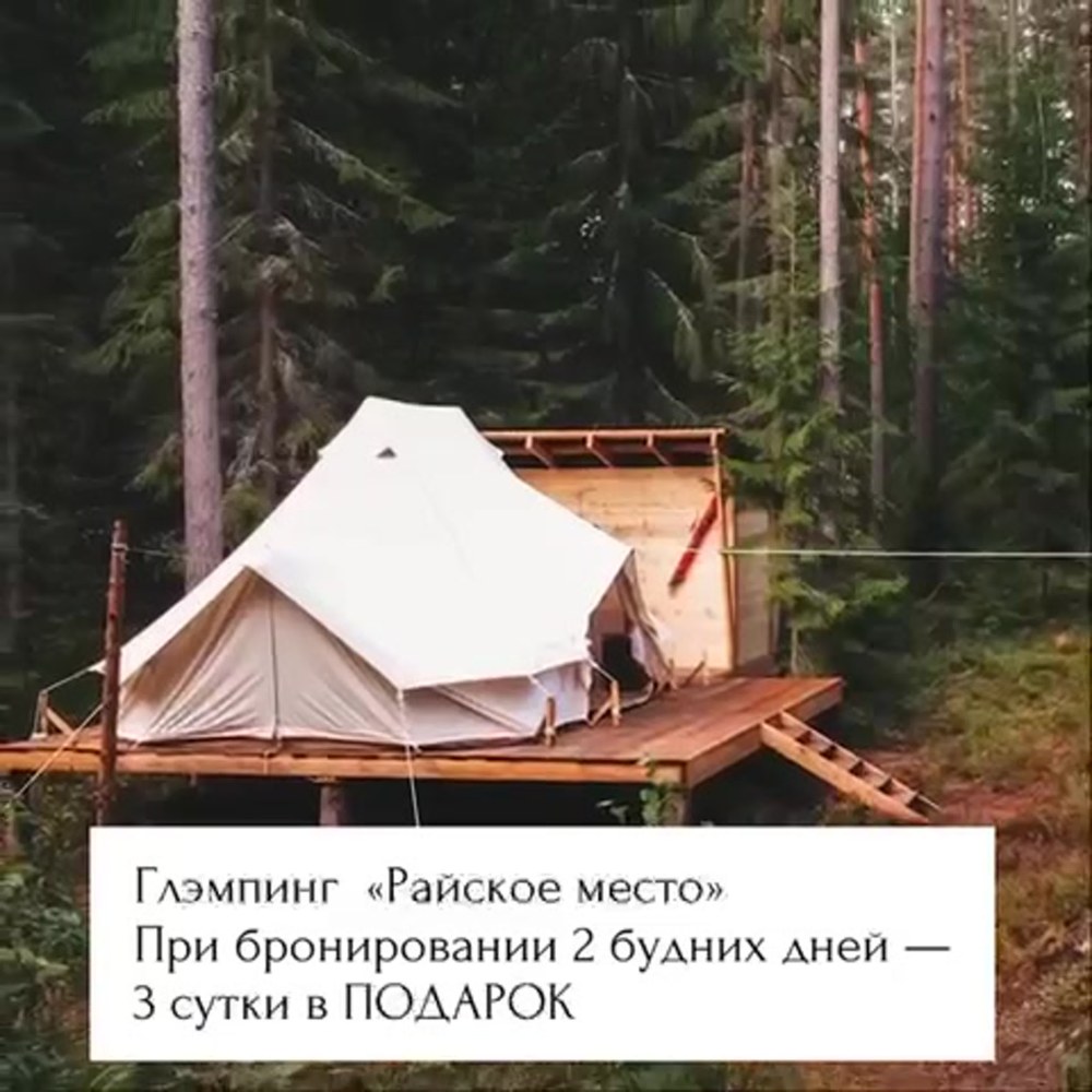 Шишки на Лампушке глэмпинг