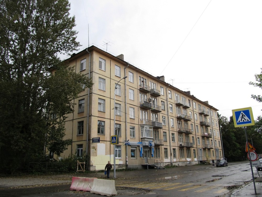 Анохина 35 Петрозаводск панорама