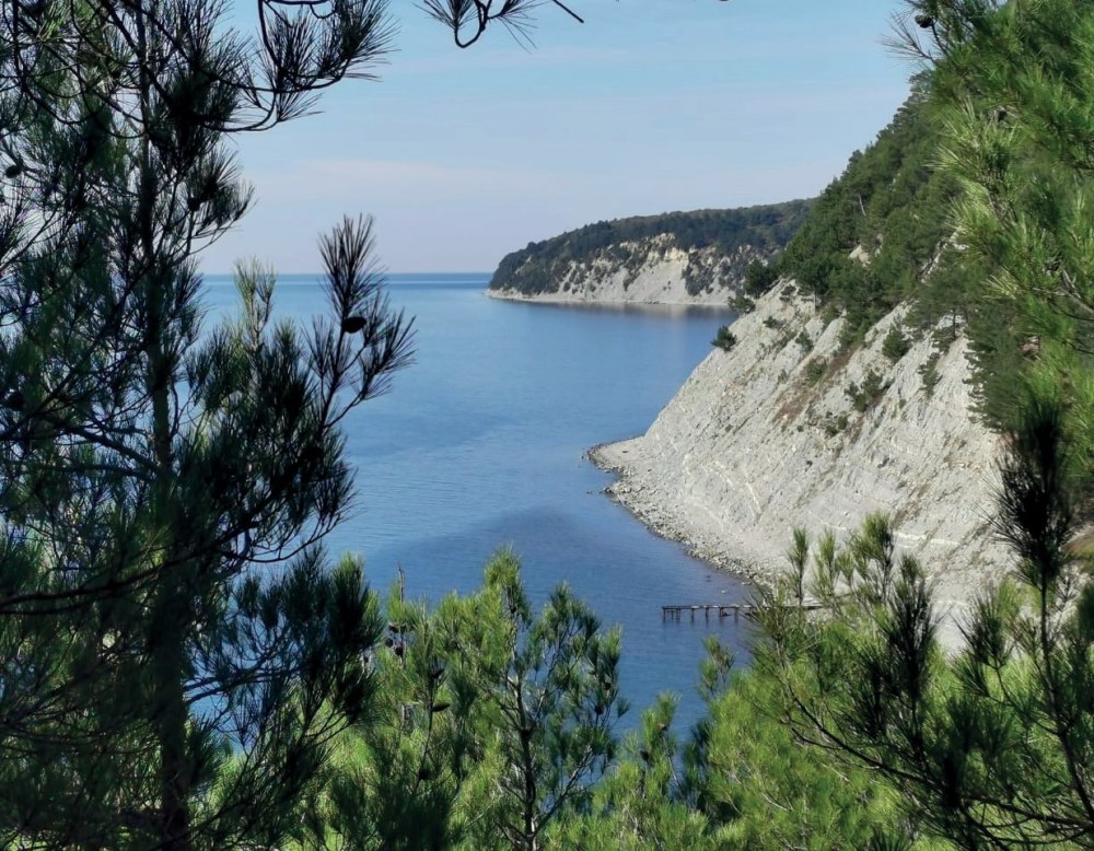 Красная щель Криница