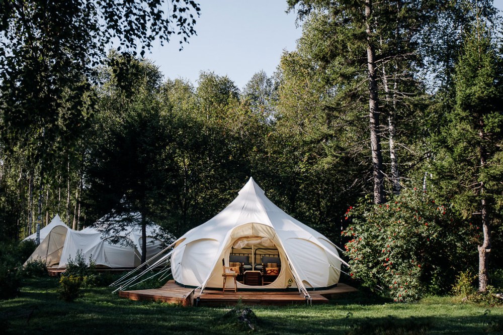 Daydream Forest Glamping Листвянка