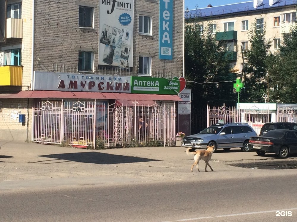 Гайдара 3