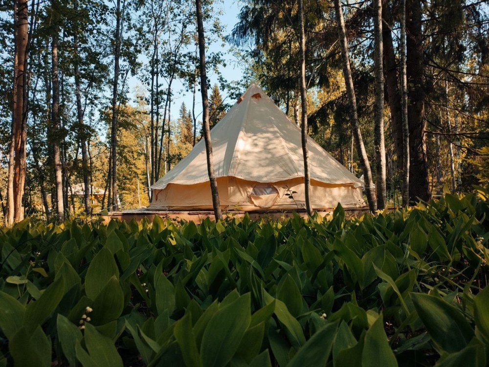 Карелия с палатками