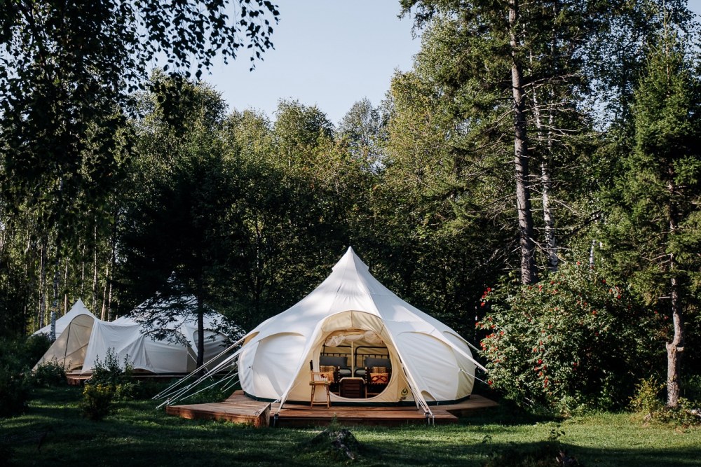 Daydream Forest Glamping Листвянка