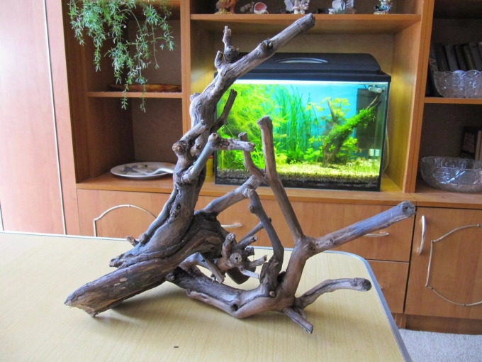 Коряжки для аквариума
