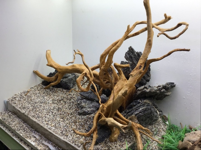 Коряга для аквариума