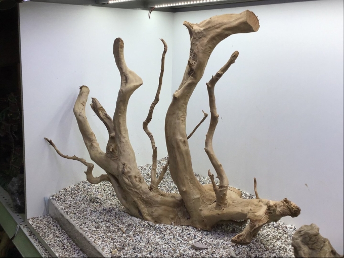 Аквариумные коряги
