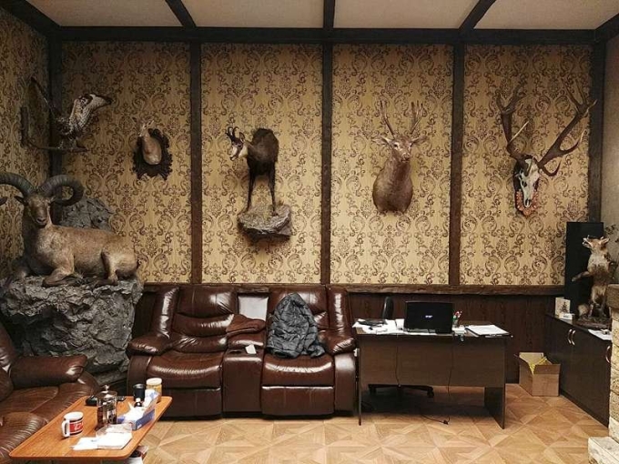 Комната в стиле охотничьего домика