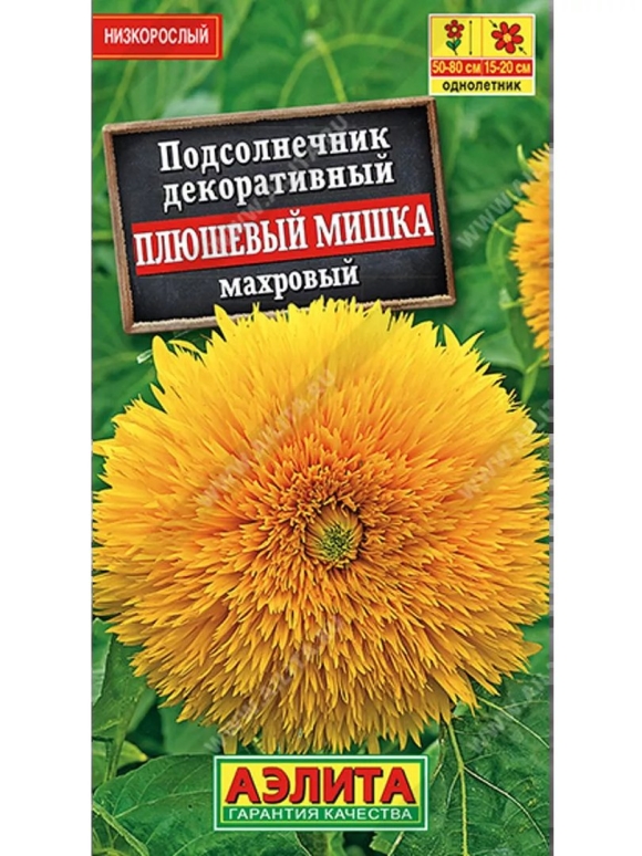 Подсолнечник махровый Медвежонок Аэлита