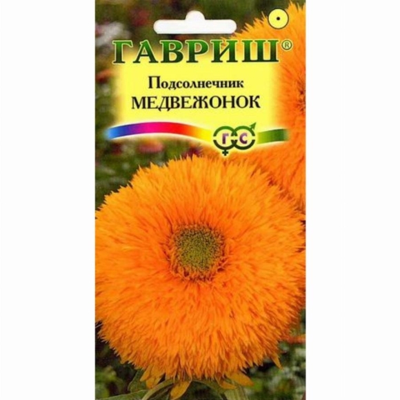 Подсолнух Гавриш Медвежонок