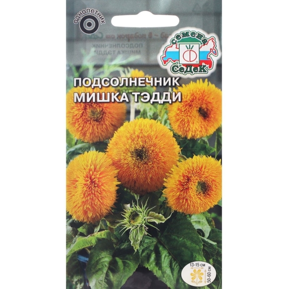 Подсолнечник мишка Тэдди