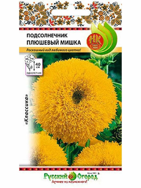 Подсолнечник плюшевый мишка