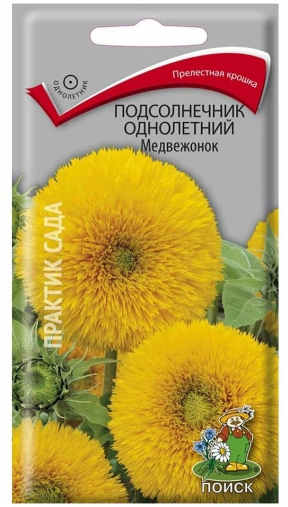 Подсолнечник однолетний Медвежонок