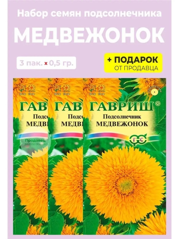 Подсолнечник Медвежонок