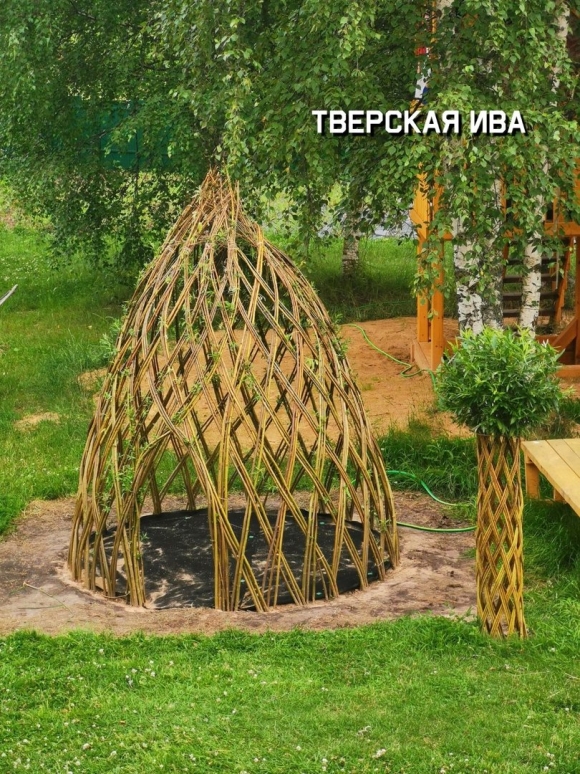Пергола у плакучей ивы