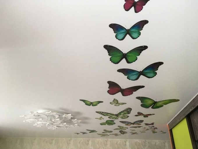 Натяжные потолки с фотопечатью бабочки