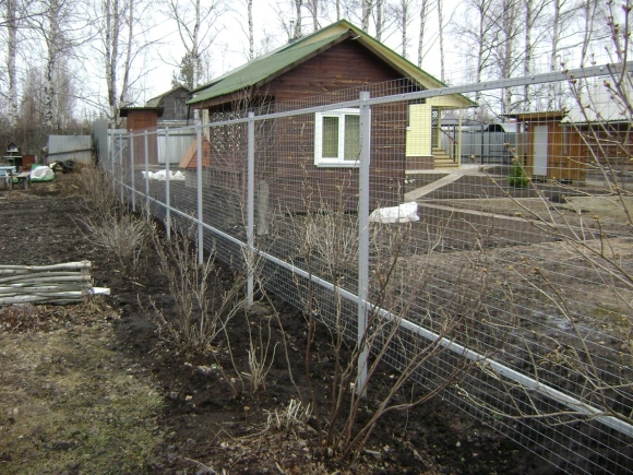 Забор из сетки сварной оцинкованной