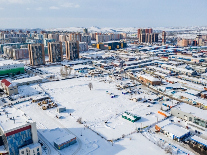 Барбарис Арбан Красноярск