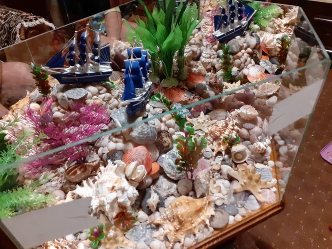 Ракушки в аквариуме