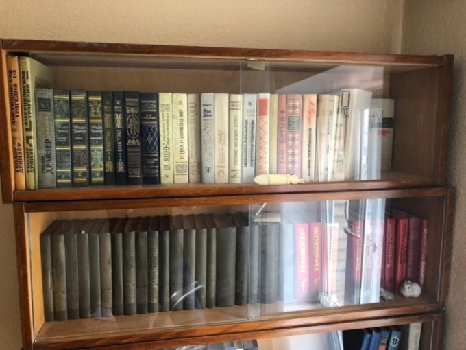 Советские книжные полки со стеклом в современном интерьере