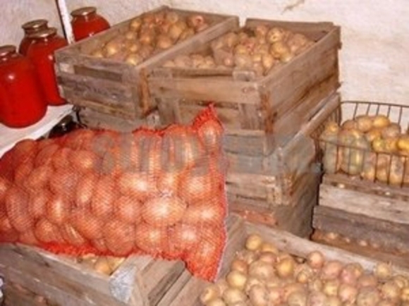 Хранение картофеля в погребе