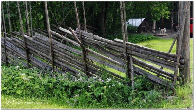 Косая карельская изгородь