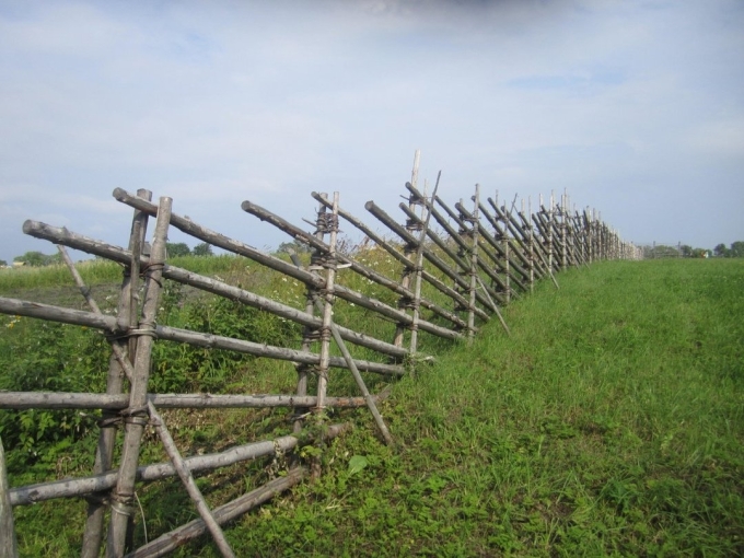 Косая карельская изгородь