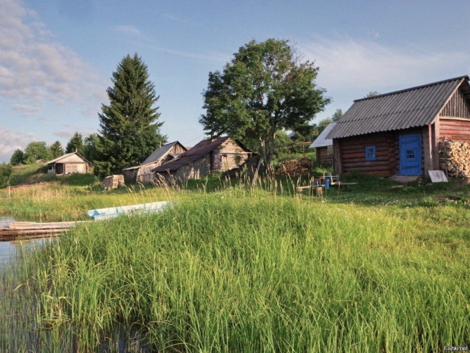 Ленинградская область речка деревенька