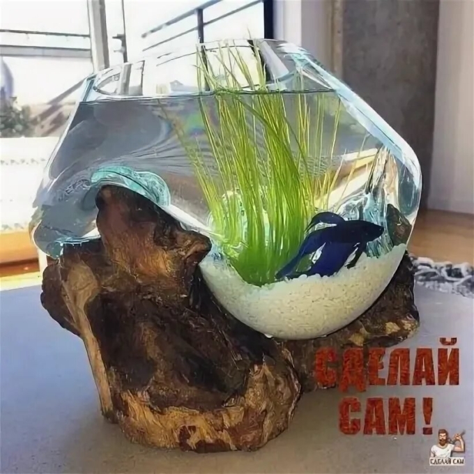 Аквариум необычной формы