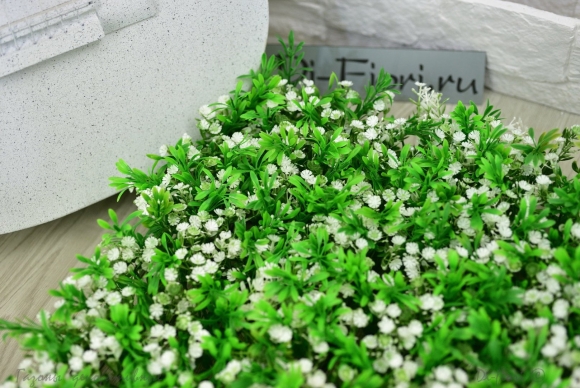 Микроклевер Пиполина