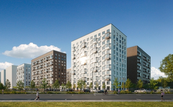 Янинский лес старт