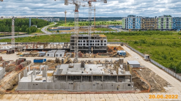 Янинский лес ход строительства